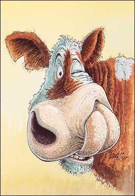 Western Chuckles Greeting Card Assortment 20 Designs for All Occasions