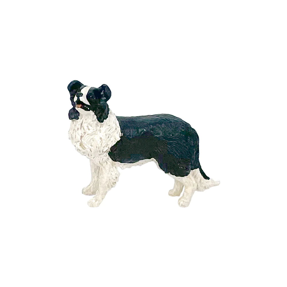 The Big Country Border Collie Dog