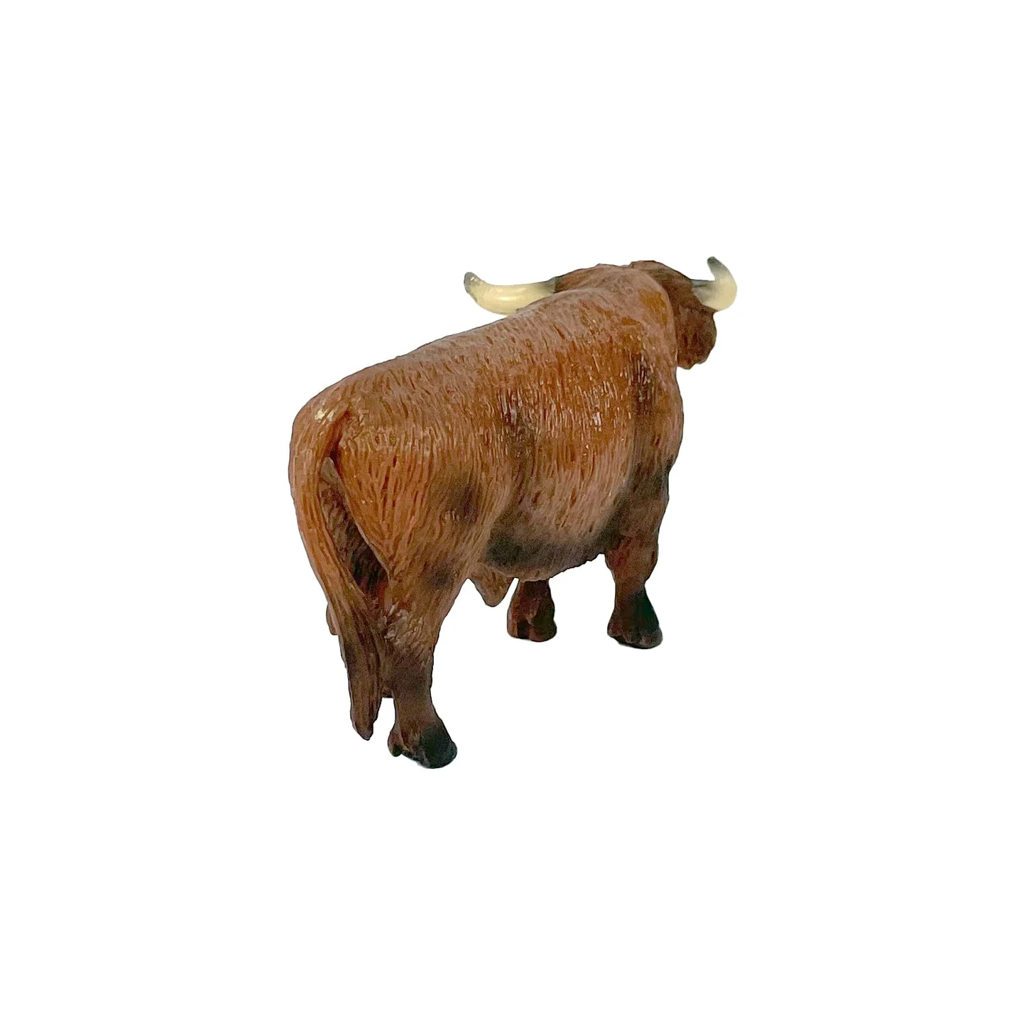 The Big Country Highlander Bull
