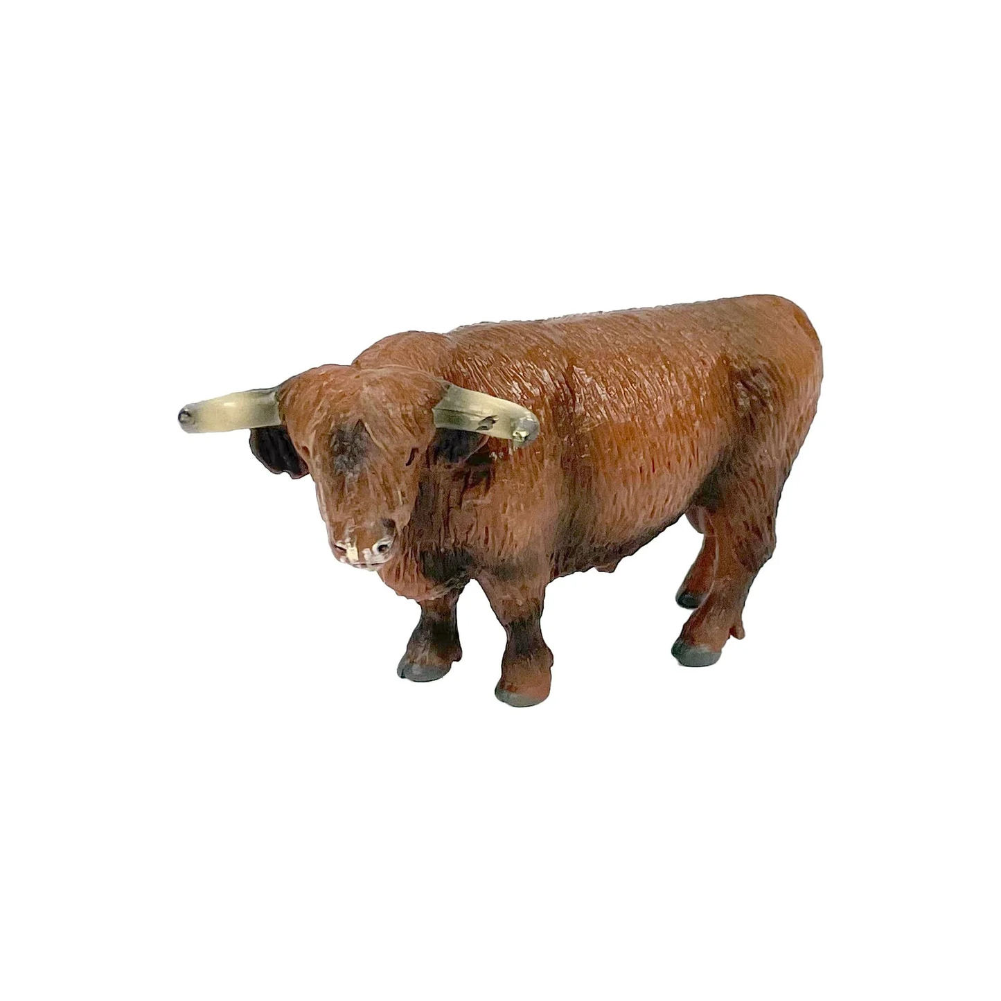 The Big Country Highlander Bull