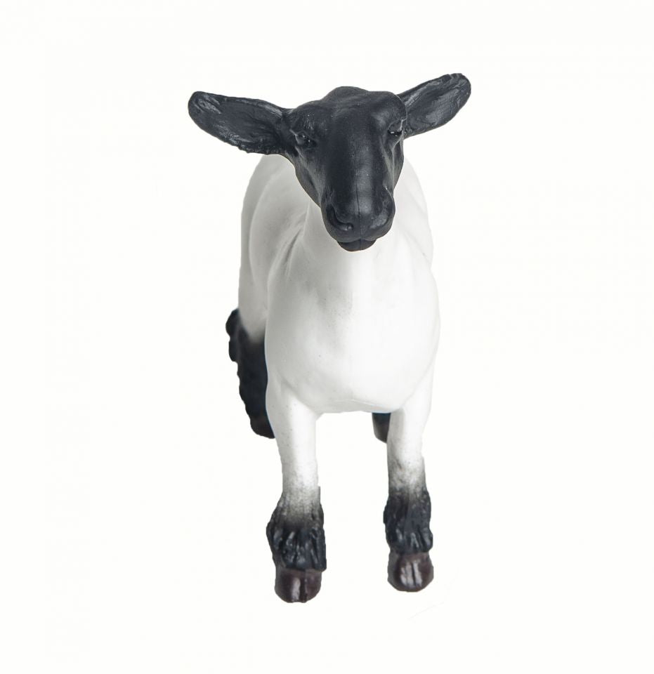 The Grand Champion Crossbred Market Lamb