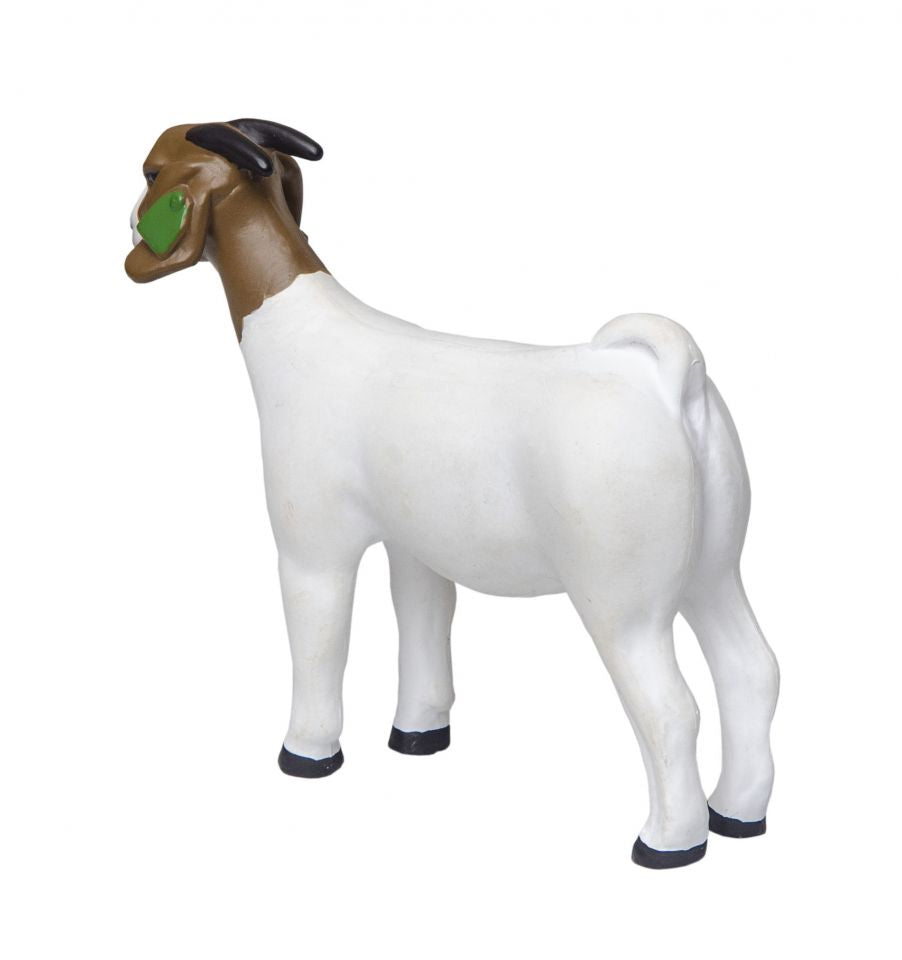The Grand Champion Boer Doe Goat