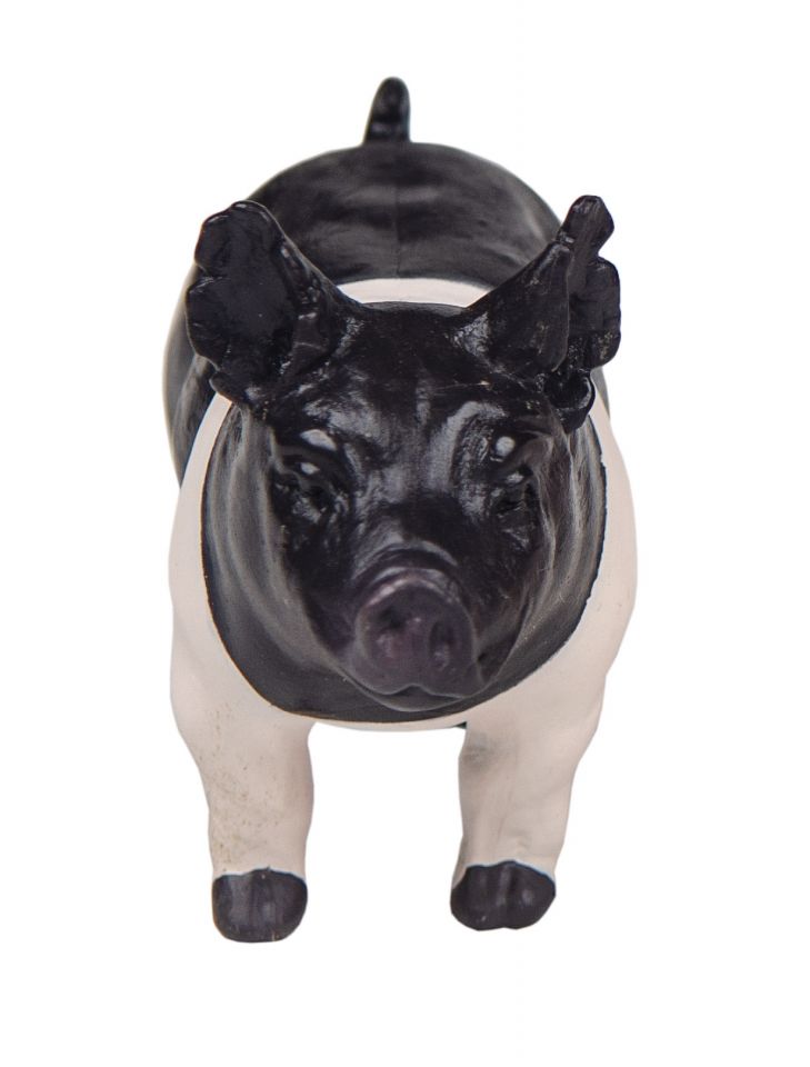 The Champion Hampshire Show Pig