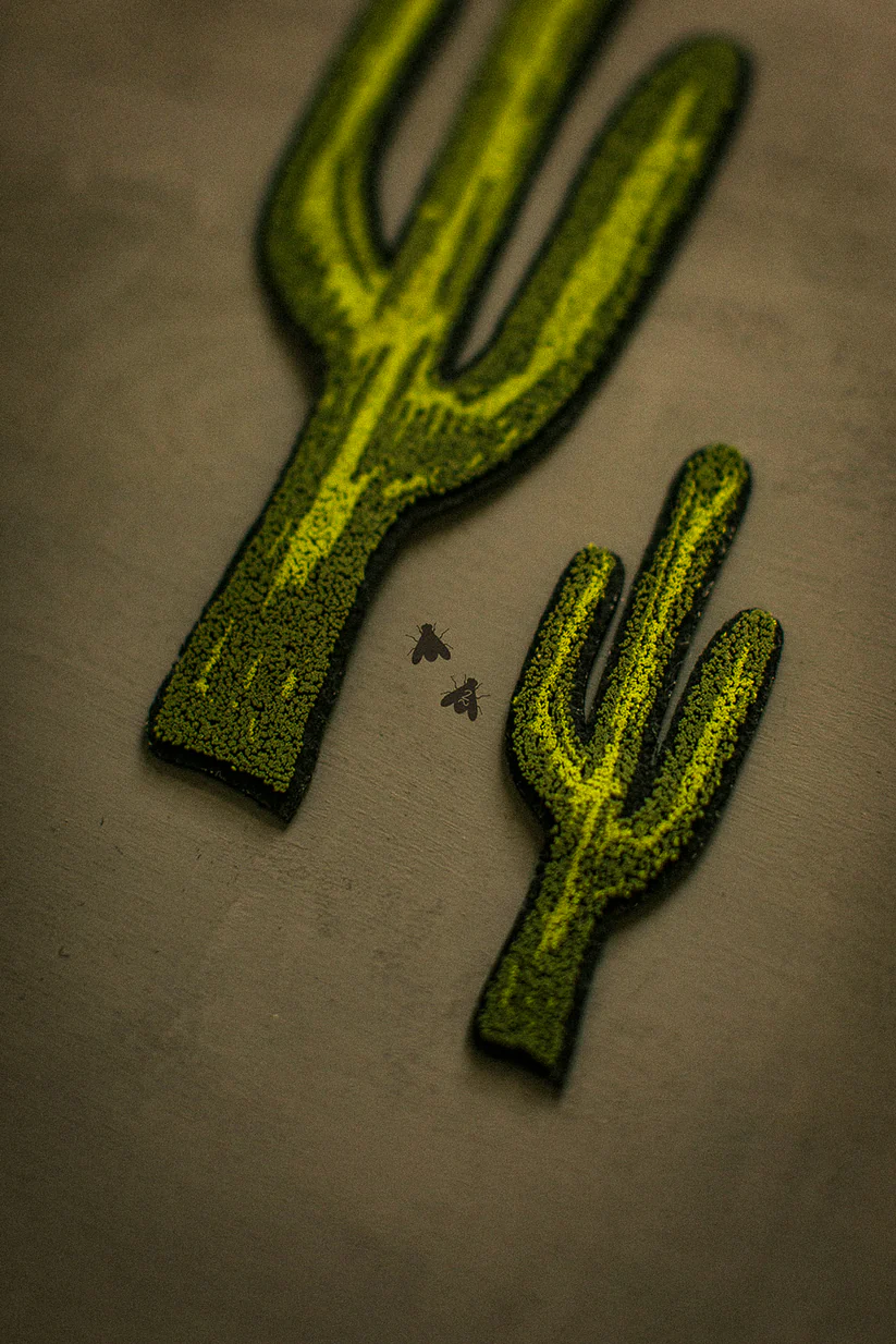 The Cactus Patch