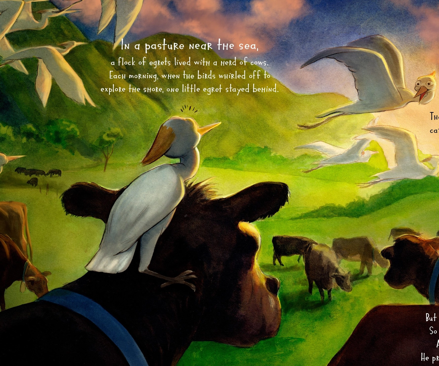 Where's My Cow Book