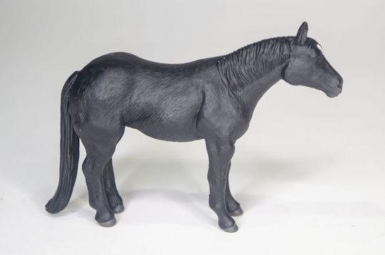 The Black Quarter Horse