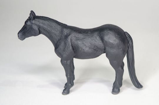 The Black Quarter Horse