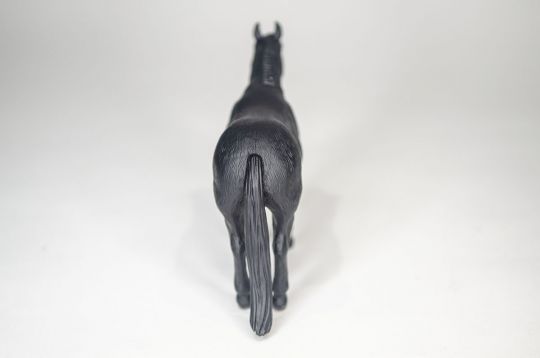 The Black Quarter Horse
