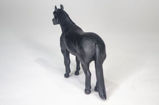 The Black Quarter Horse