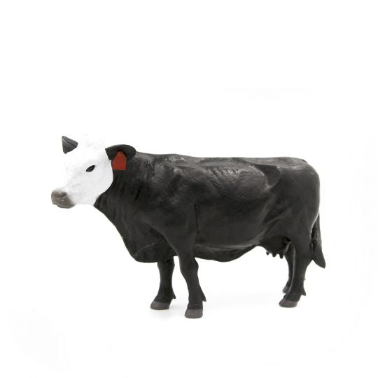 The Black Baldy Herd (Cow, Calf)