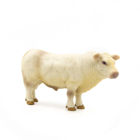 The Charolais Herd (Bull, Cow, Calf)