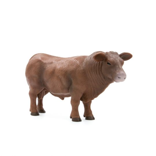 The Red Angus Herd (Bull, Cow, Calf)