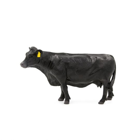 The Black Angus Herd (Bull, Cow, Calf)