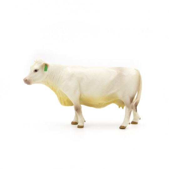 The Charolais Herd (Bull, Cow, Calf)
