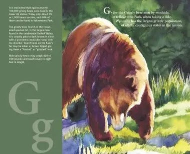 The C is for Cowboy Wyoming Alphabet Book