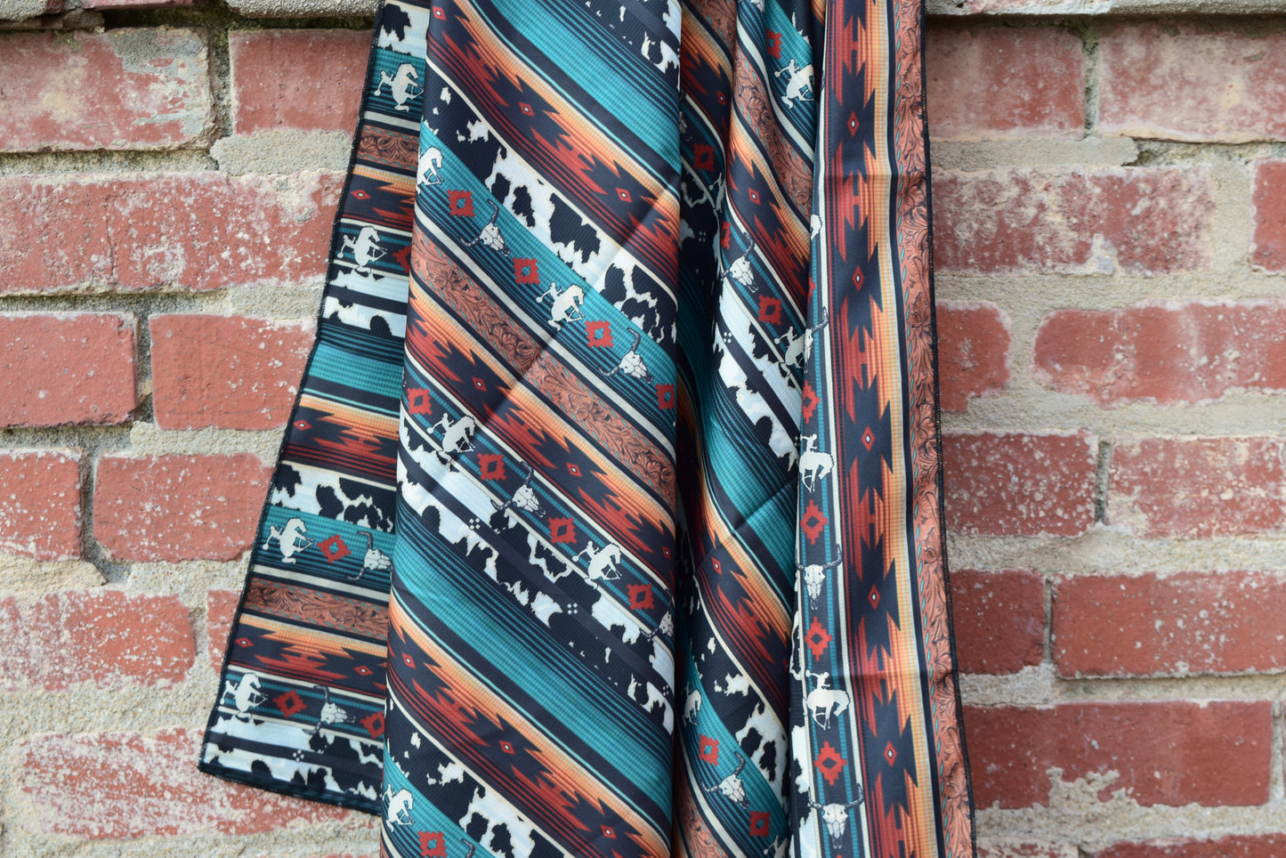 Western Wild Whip Rag