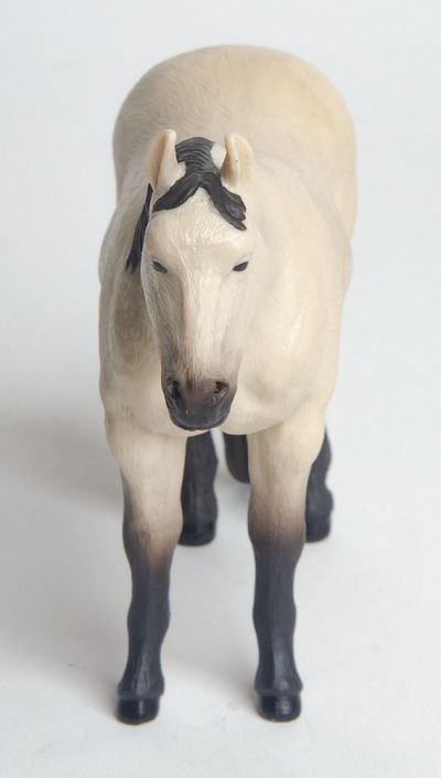 The Buckskin Quarter Horse