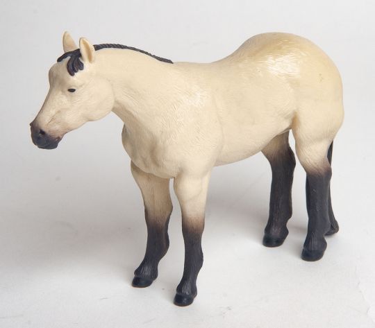 The Buckskin Quarter Horse