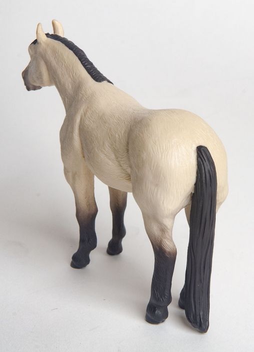 The Buckskin Quarter Horse