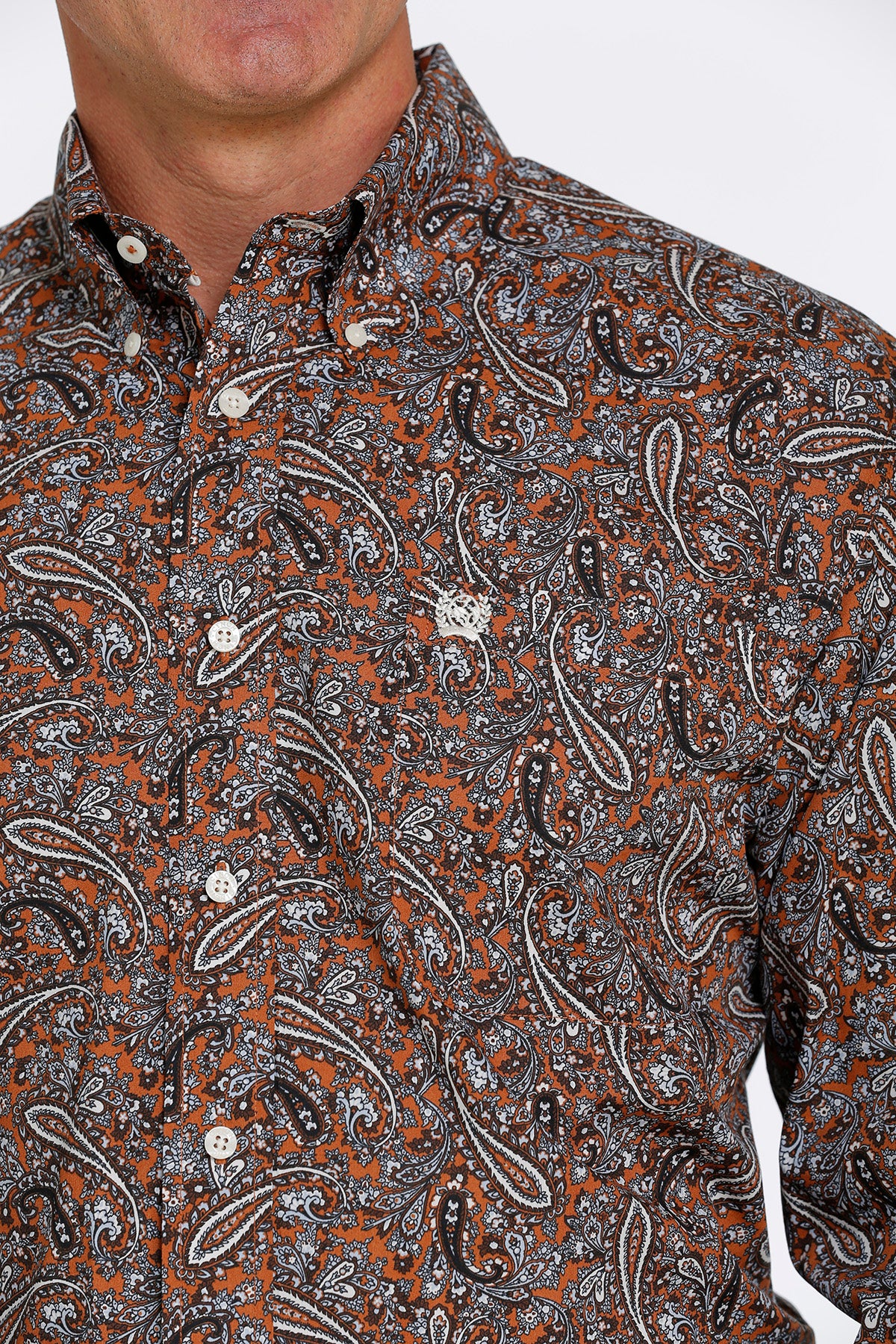 The Mens Cinch Rusty chocolate and cream Paisley Button Down