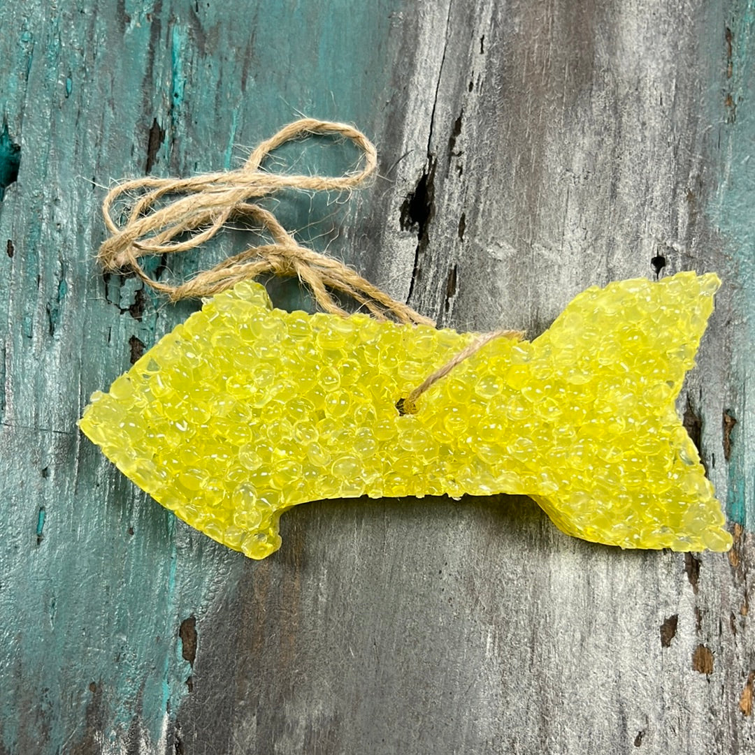 Apple Slices Car Freshie