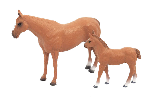 The Big Country Quarter Horse Mare and Colt
