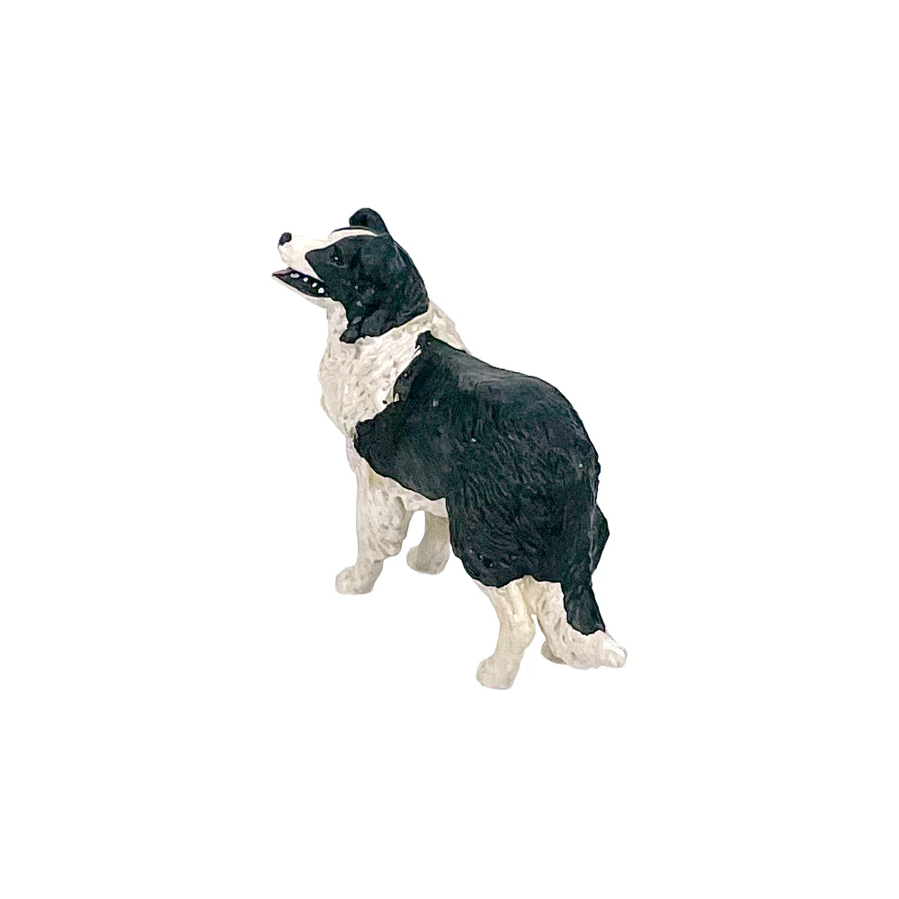 The Big Country Border Collie Dog