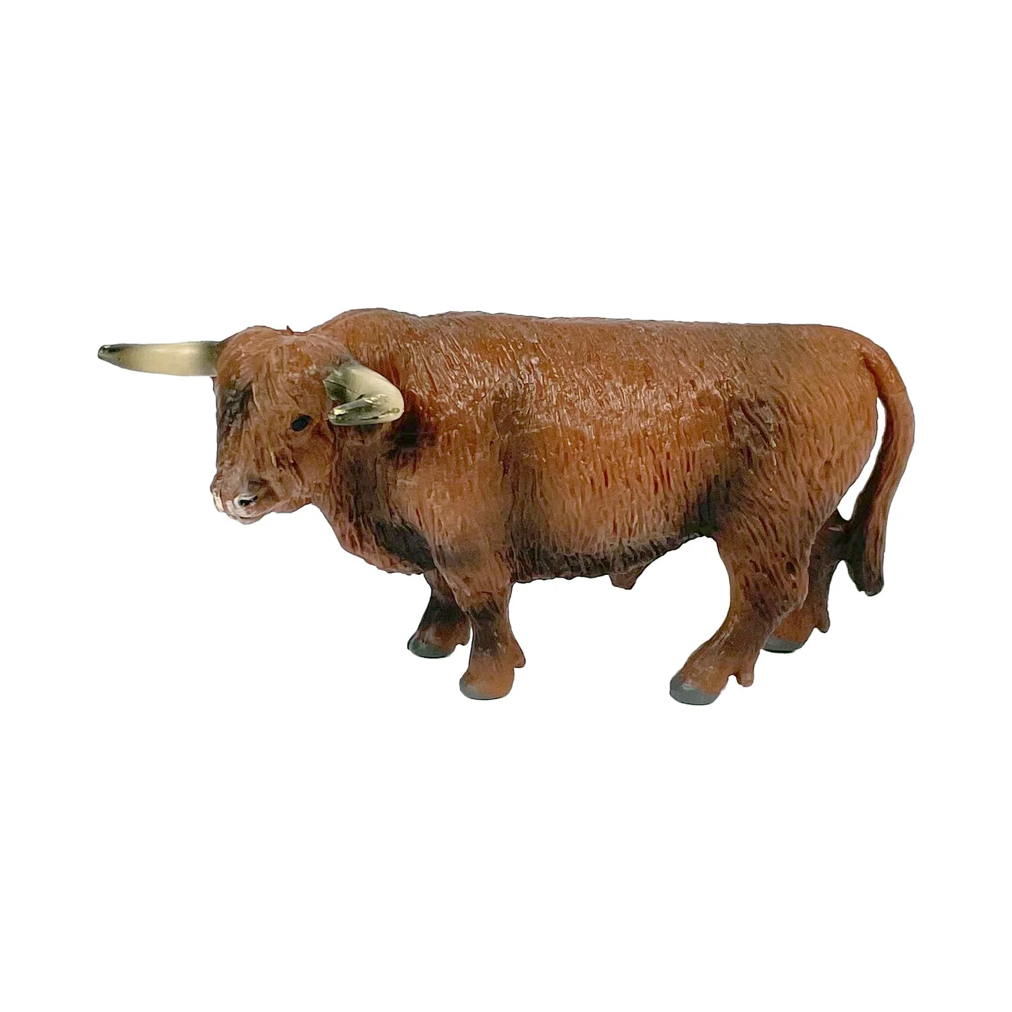 The Big Country Highlander Bull