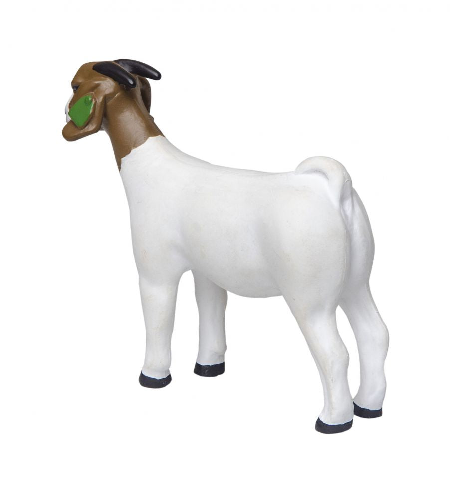 The Grand Champion Boer Doe Goat