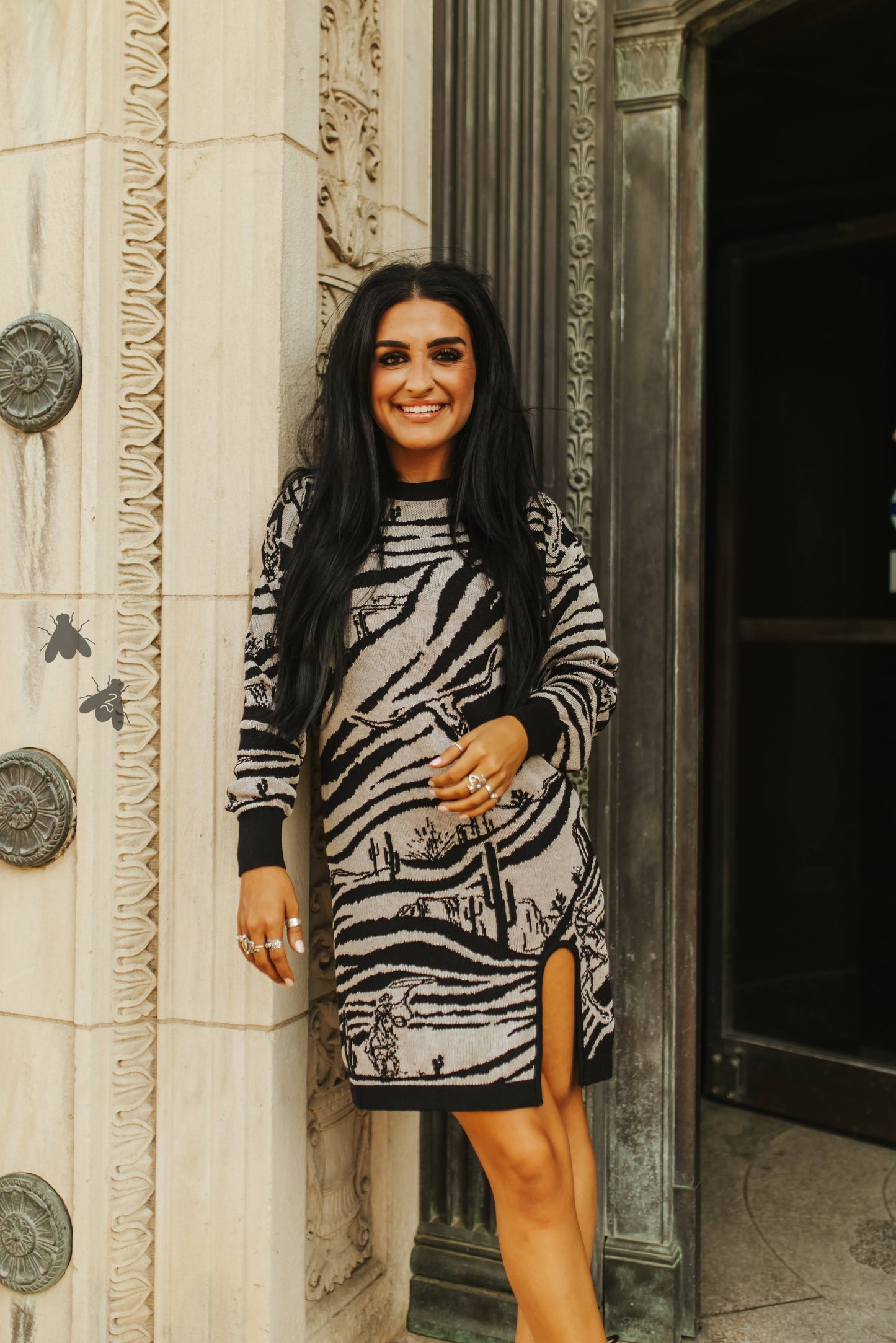 The Wild West Zoo Sweater Dress