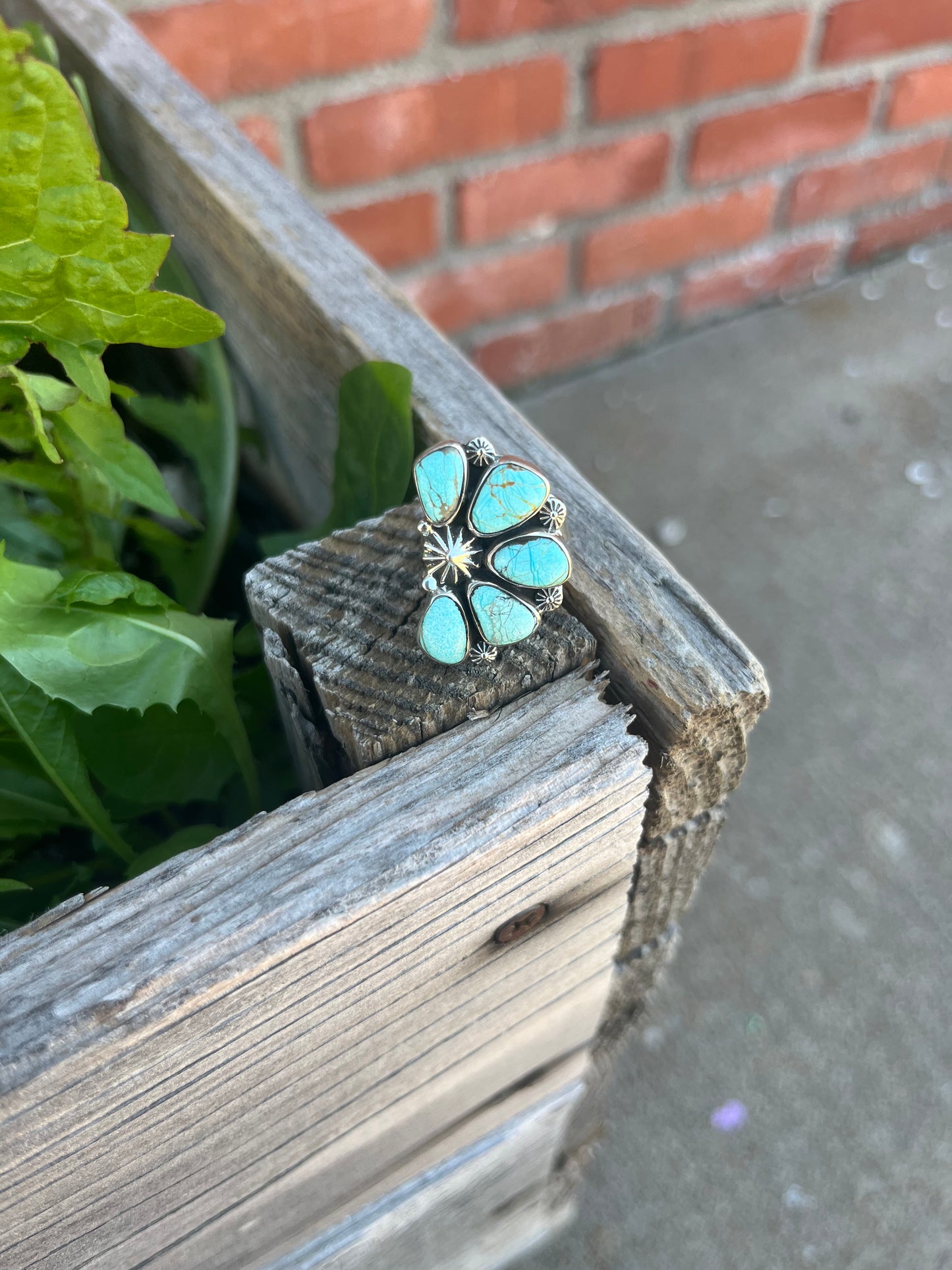 The Sterling Silver Crescent Squash Ring