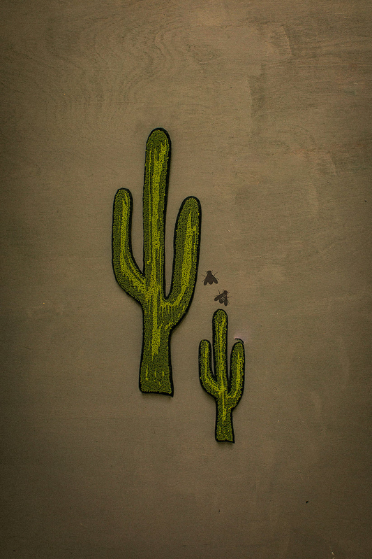 The Cactus Patch