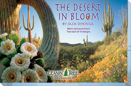 The Desert in Bloom Greeting Card Assortment 20 Designs for All Occasions