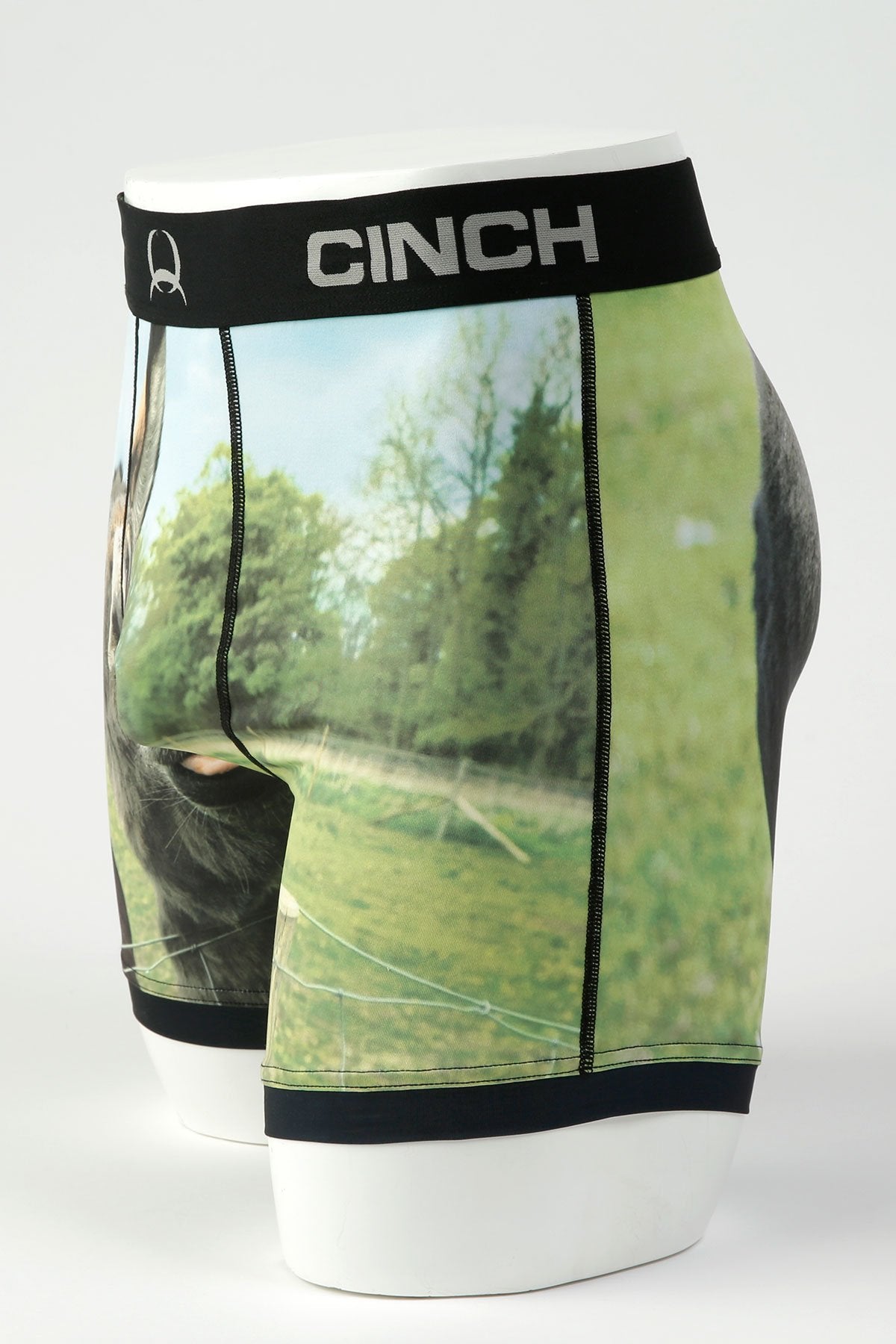 Cinch Mens Donkey 6" Boxer Briefs