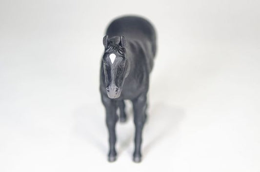 The Black Quarter Horse