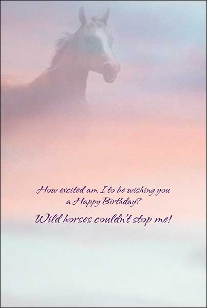 Horse Country Greeting Card Assortment 20 Designs for All Occasions