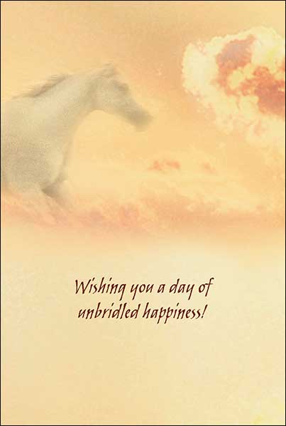 Horse Country Greeting Card Assortment 20 Designs for All Occasions