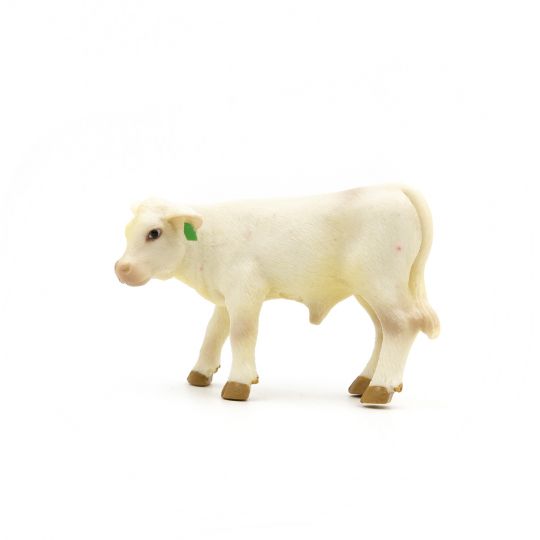 The Charolais Herd (Bull, Cow, Calf)