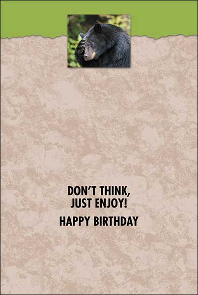 Wildly Funny Greeting Card Assortment 20 Designs for All Occasions