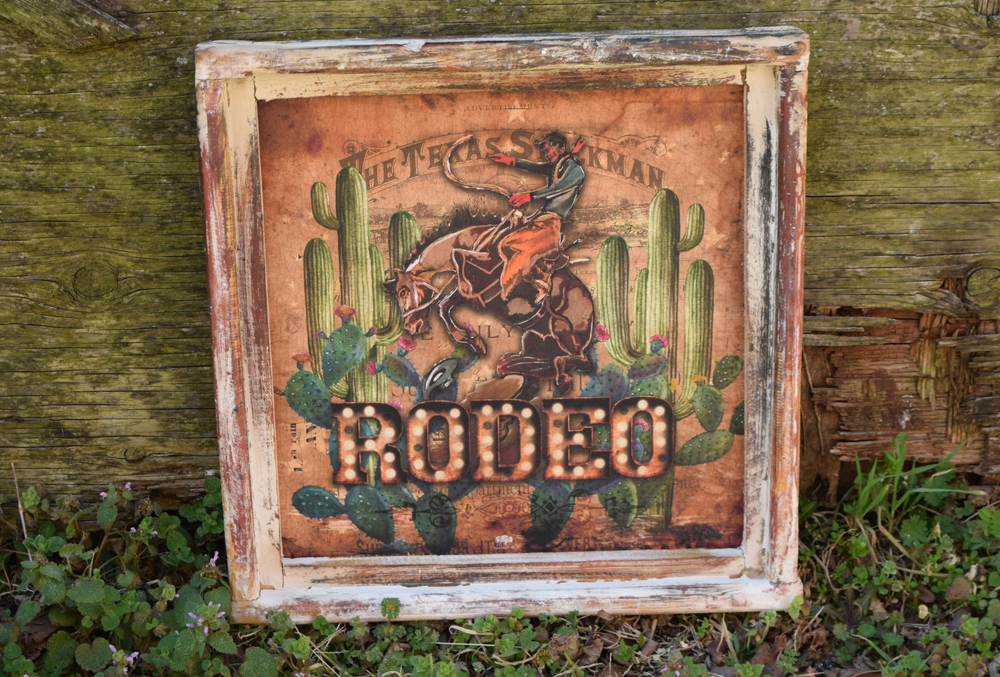 The Small Bronc Buster Rodeo Framed Picture