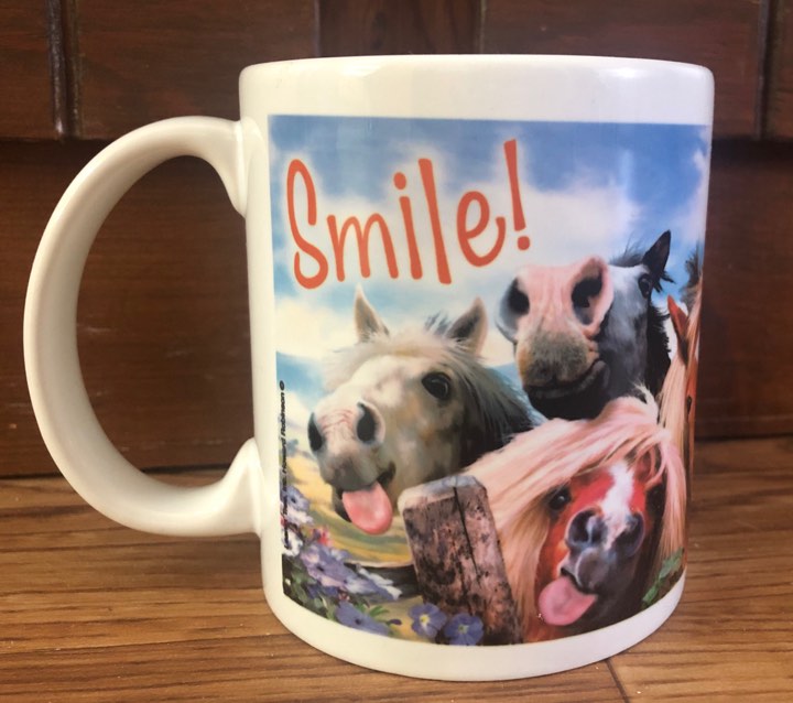 Leanin' Tree Smile Gift Mug