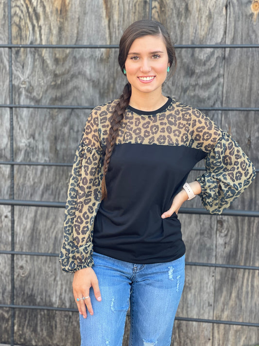 Crazy Train Lancaster Leopard Top