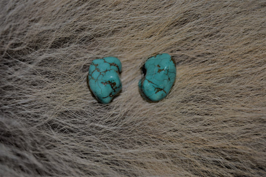 Turquoise Chunk Earrings